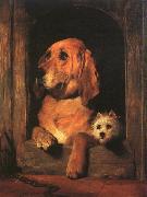 Sir Edwin Landseer Dignity and Impudence oil painting on canvas